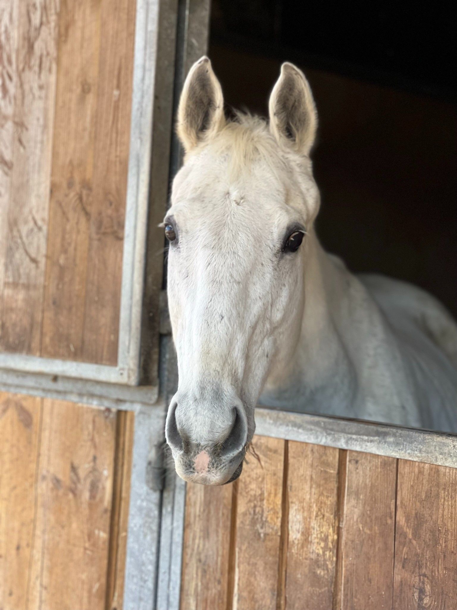 blockValue.dc520317-12ef-451e-a9b2-9f386ba757fb.image.4.img_alt