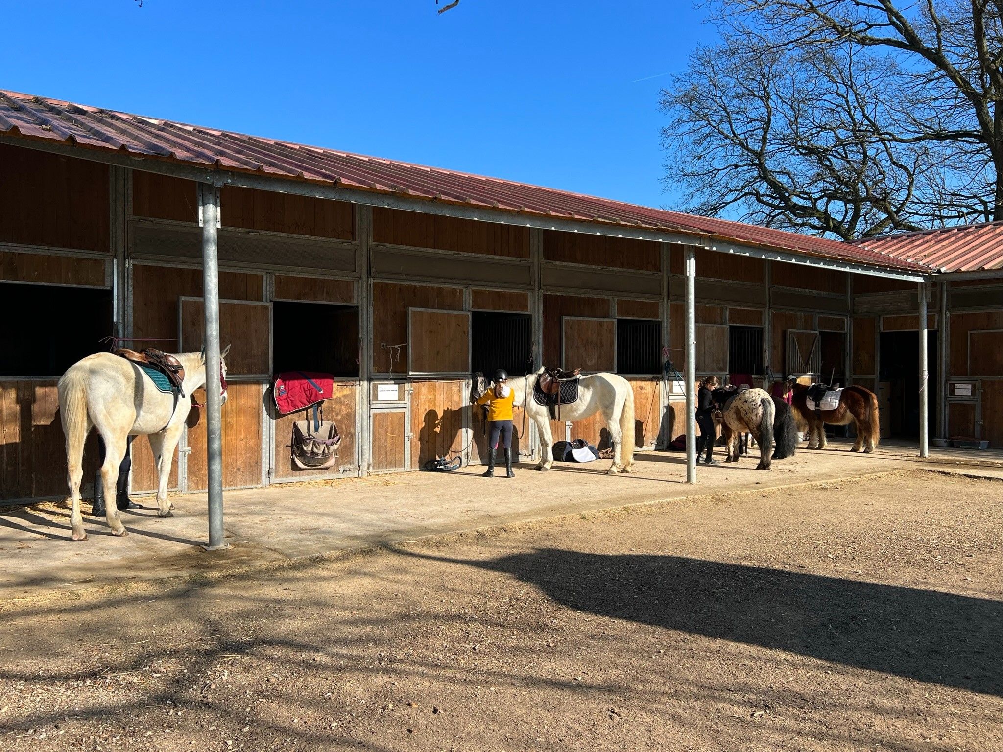 blockValue.4bff4805-7e1a-4b69-b9a2-980892bdb854.images.0.img_alt