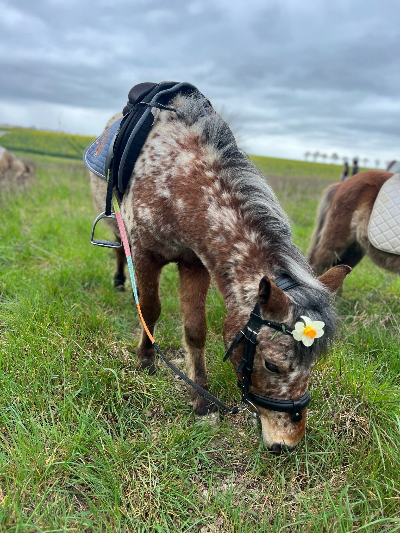 blockValue.dc520317-12ef-451e-a9b2-9f386ba757fb.image.1.img_alt