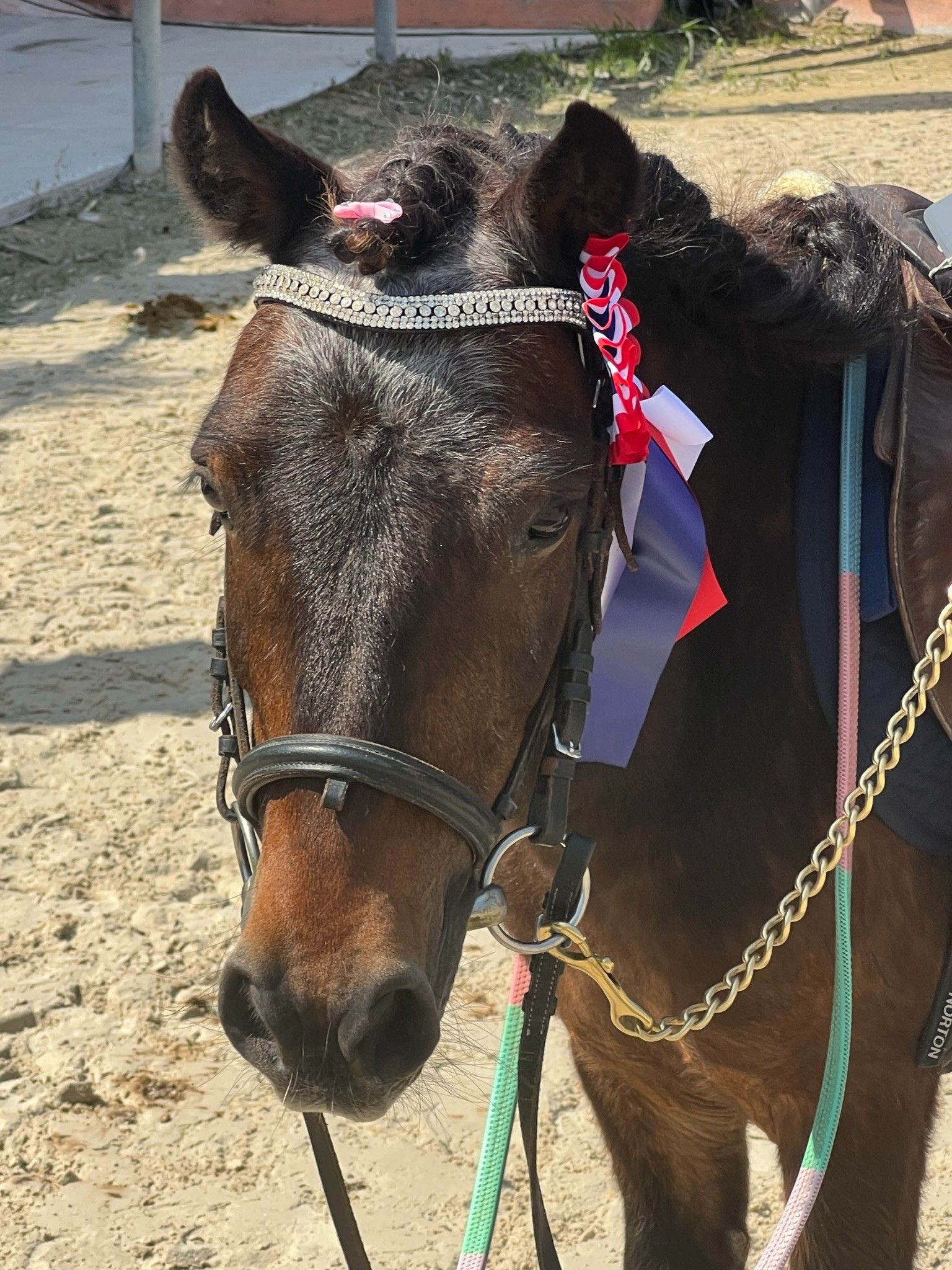 blockValue.dc520317-12ef-451e-a9b2-9f386ba757fb.image.8.img_alt