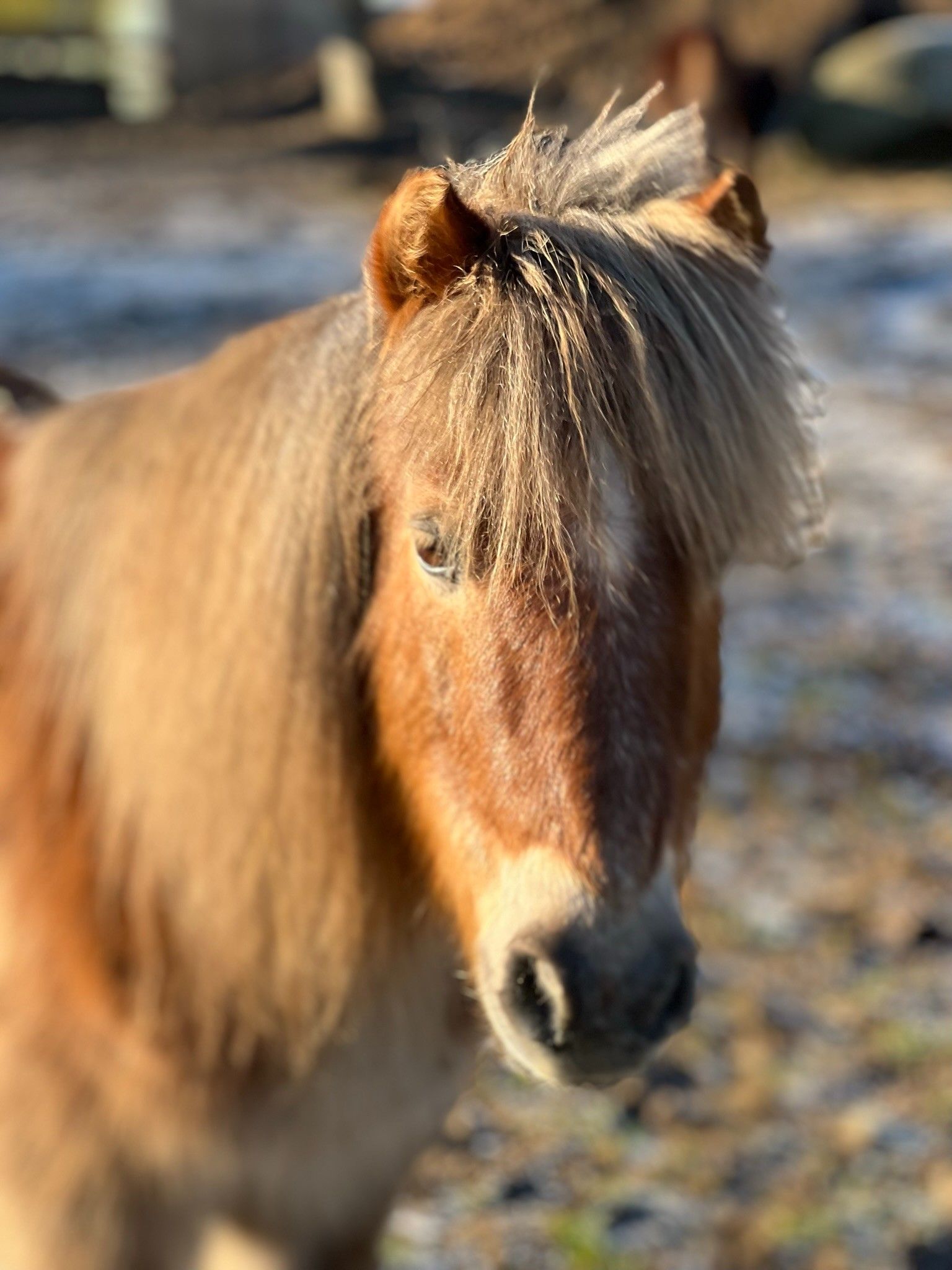 blockValue.dc520317-12ef-451e-a9b2-9f386ba757fb.image.3.img_alt