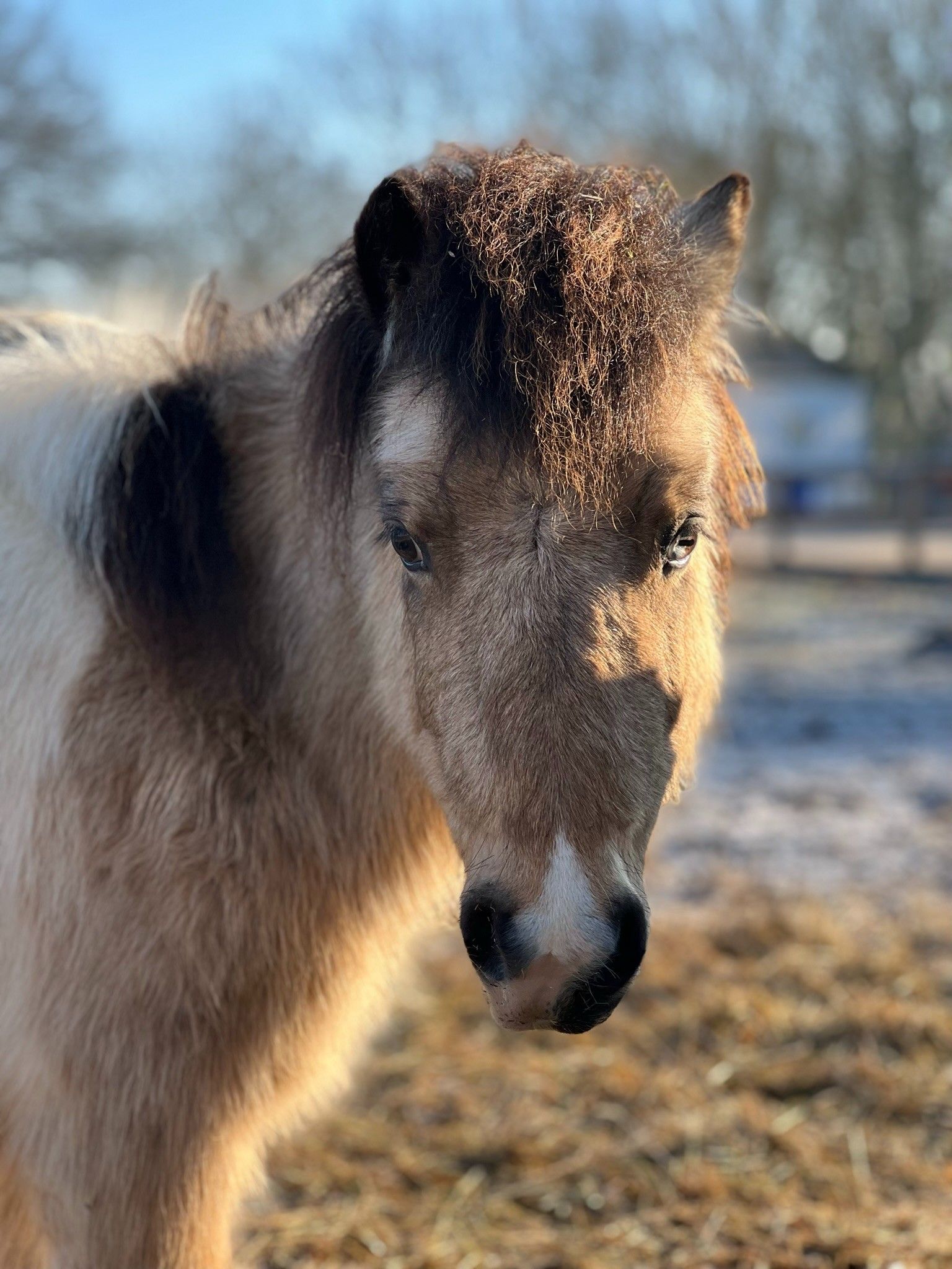 blockValue.dc520317-12ef-451e-a9b2-9f386ba757fb.image.6.img_alt