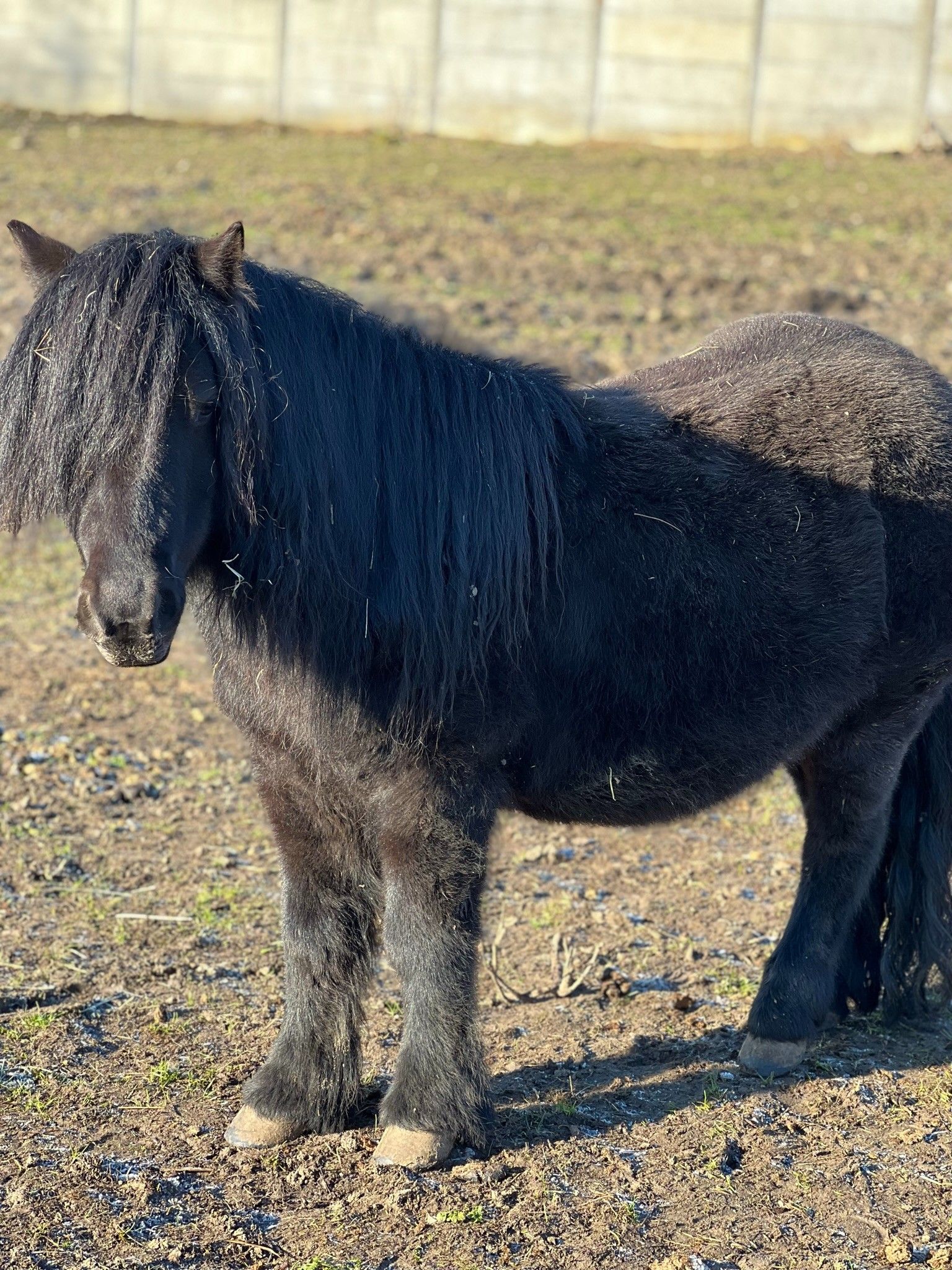 blockValue.dc520317-12ef-451e-a9b2-9f386ba757fb.image.5.img_alt